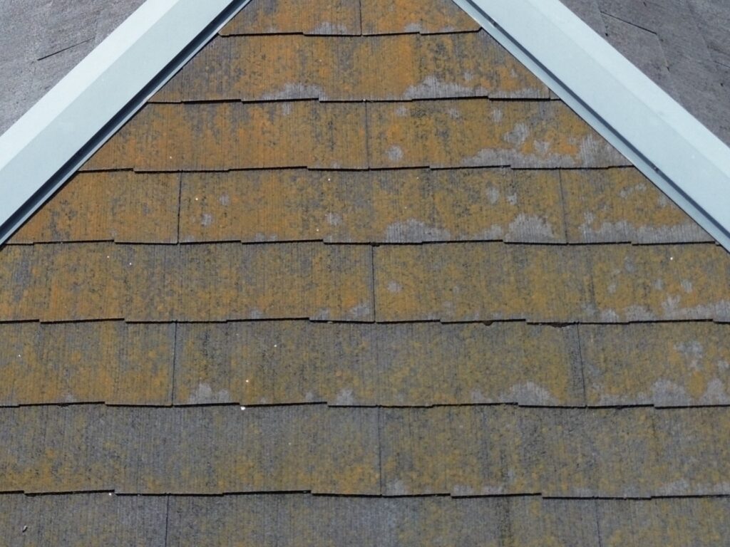 既存屋根 北面 拡大